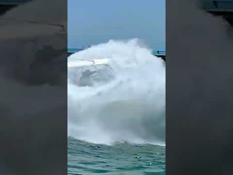 Miami Live Short Video #403