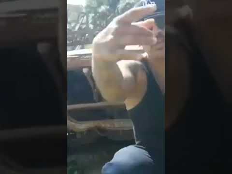 Steel Banging Deportado Movement