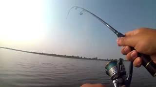 Graphiteleader vivo ex 762 ml