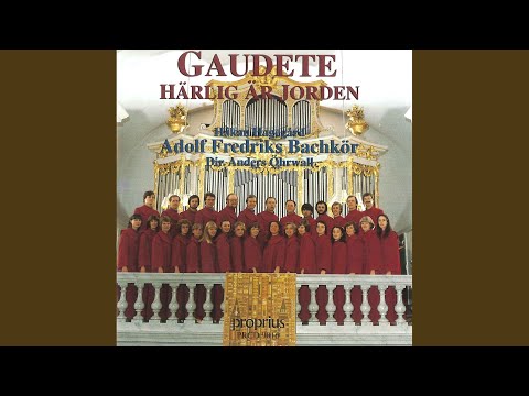 Gaudete - Sinfonia - In dulci jubilo