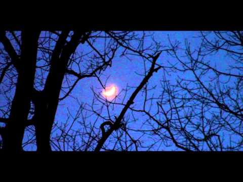 The S p a c e Between Us - Official Trailer (short film)