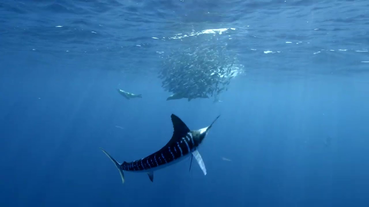 We can and will make a difference