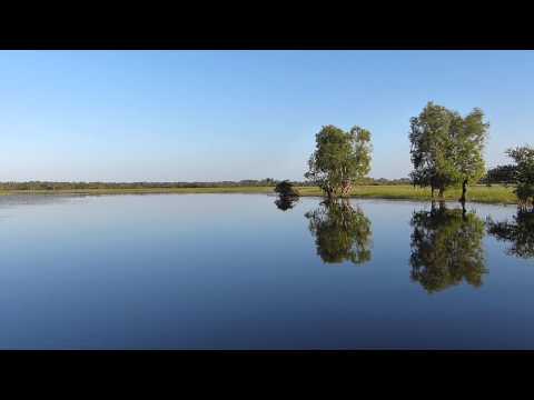 Early Morning Cruise, Yellow River, Northern Territory
