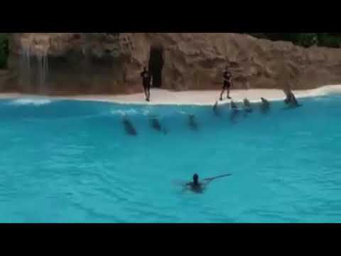 Nicki Minaj - BED 🛏 (Solo Version)