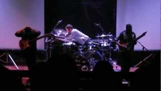 Animals as leaders live (New Eden)
