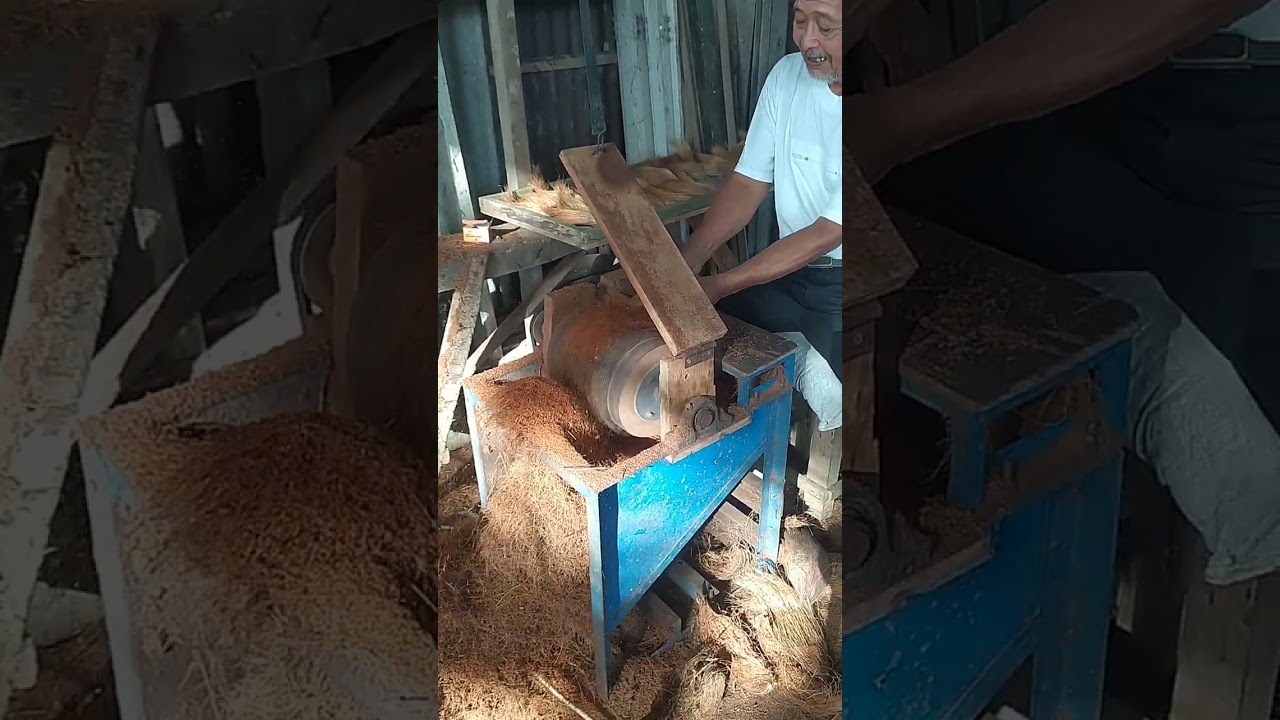Cocopeat and cocofiber production process