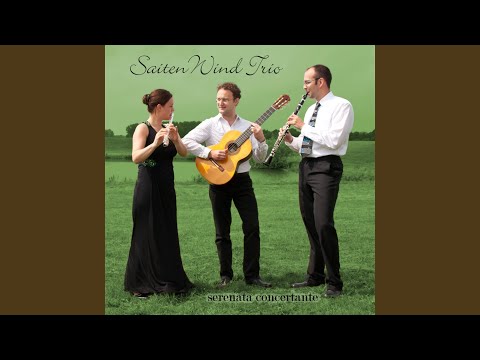 Serenata concertante, Op. 105: VI. Marcia