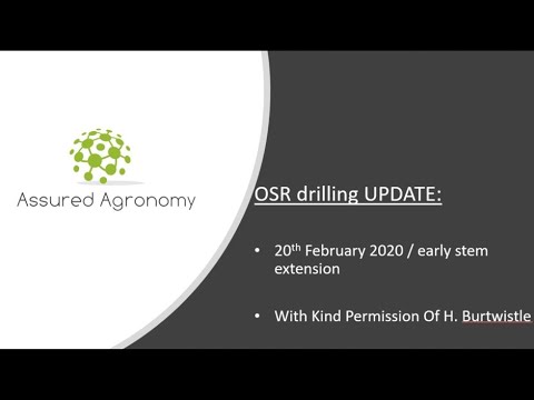 Follow up video of Oilseed rape establishment