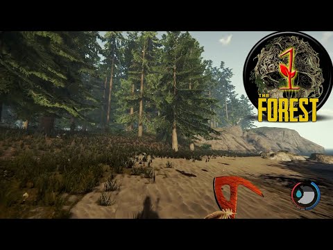 ESTA ISLA NO ES LO QUE PARECE... -  The Forest🍁💀 -  Capítulo #1