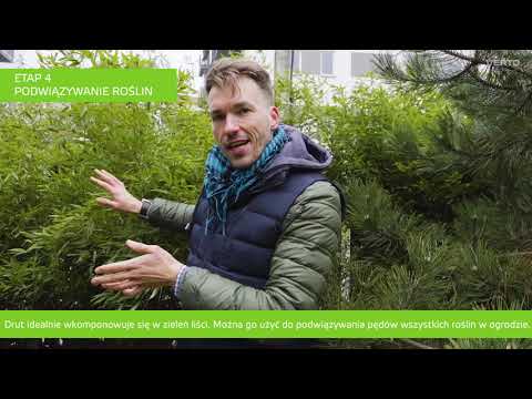 Wiosenne porządki w ogrodzie