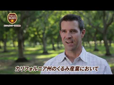 クルミの収穫と保存: 最良のヒント 庭の練習