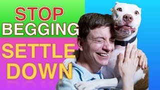 How to Teach your Dog to STOP BEGGING & SETTLE DOWN Right now!