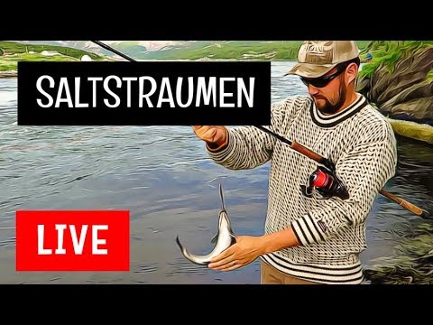 ILTAKALASSA SALTSTRAUMENILLA