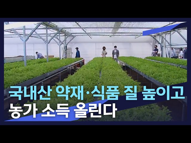 국내산 약재, 식품 질 높이고 농가 소득 올린다