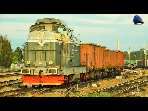 LDH1250 80-0224-3 la Manevră/Shunting in Gara Episcopia Bihor Station pe Apus/on Sunset 04 June 2020