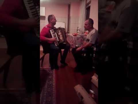 Zoran Lazarevic i Nedjo Gori gora gori borovina