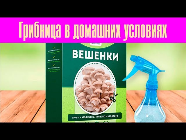 Видео Домашняя грибница Видео Домашняя грибница