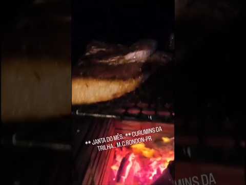 **DA GALÁXIA...***JANTA DO MÊS..** CURUMINS DA TRILHA.. M.C.RONDON-PR ,CUIABANO, CUIA