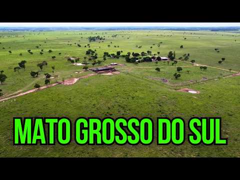 ENORME FAZENDA DE DUPLA APTIDÃO À VENDA NO MATO GROSSO DO SUL