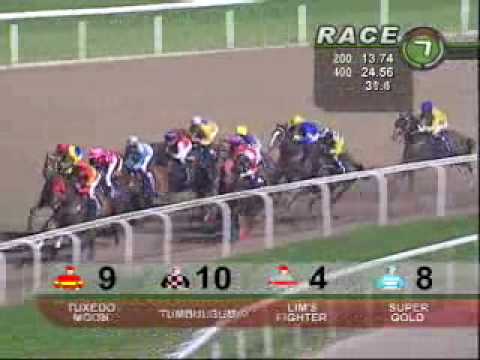 MERLION TROPHY 12/03/10 - MEXICAN ROSE