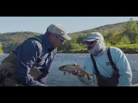 download lagu mp3 mp4 Trout Town Usa, download lagu Trout Town Usa gratis, unduh video klip Trout Town Usa