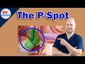 Prostate Massage For Prostatic Orgasms Scrutinized UroChannel