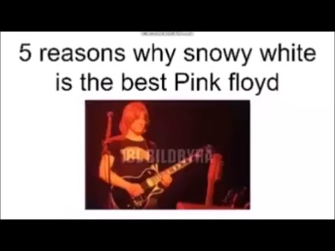 5 REASONS WHY SNOWY WHITE IS THE BEST PINK FLOYD