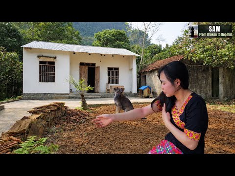 Ly Trieu Sam and Bố Lý