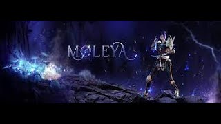 Miniaturka - Moleya.pl Expimy i dropimy 1 zl = 2min #Moleya #Metin2