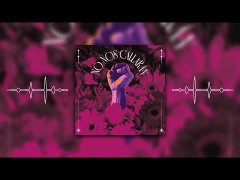 Becka - No Nos Callarán (Visualizer)