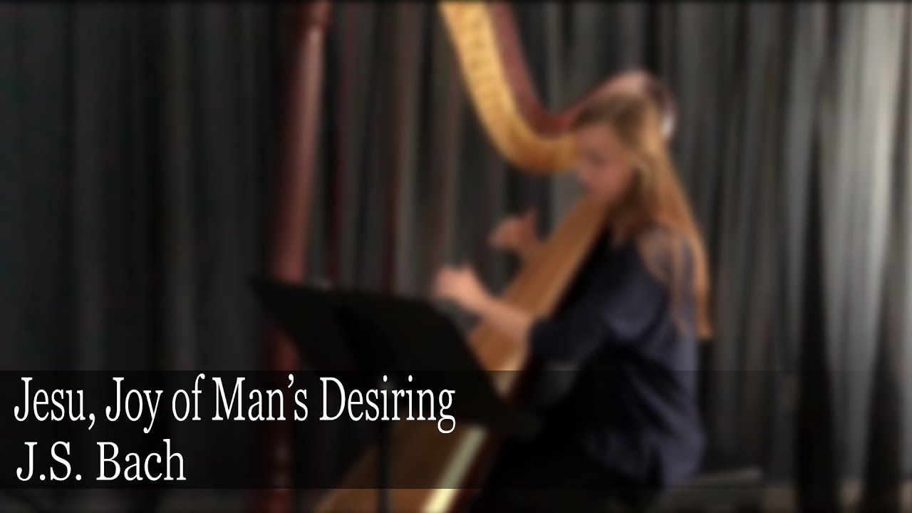 Promotional video thumbnail 4 for Emily Duncan - Harpist