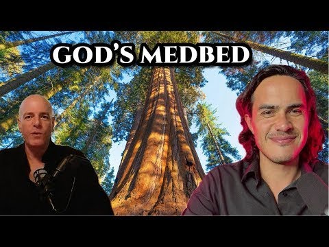 God s MedBed the Healing Tech They Tried to Hide