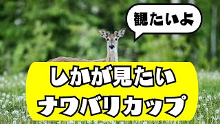 【スプラ3】しかが見たいナワバリカップ【運営配信】