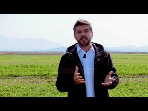 Beteja e madhe e Savrës, sonte në ciklin “Gjurmë Shqiptare” - Top Channel Albania - News - Lajme