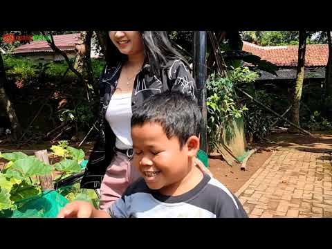 mengejar-cinta-irfan-episode-2