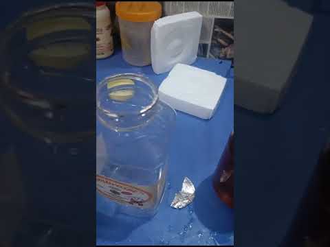 Wild Forest Honey 250g