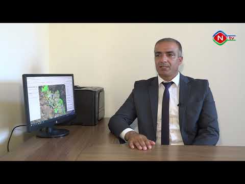 Günün tələbi - 13.07.2022