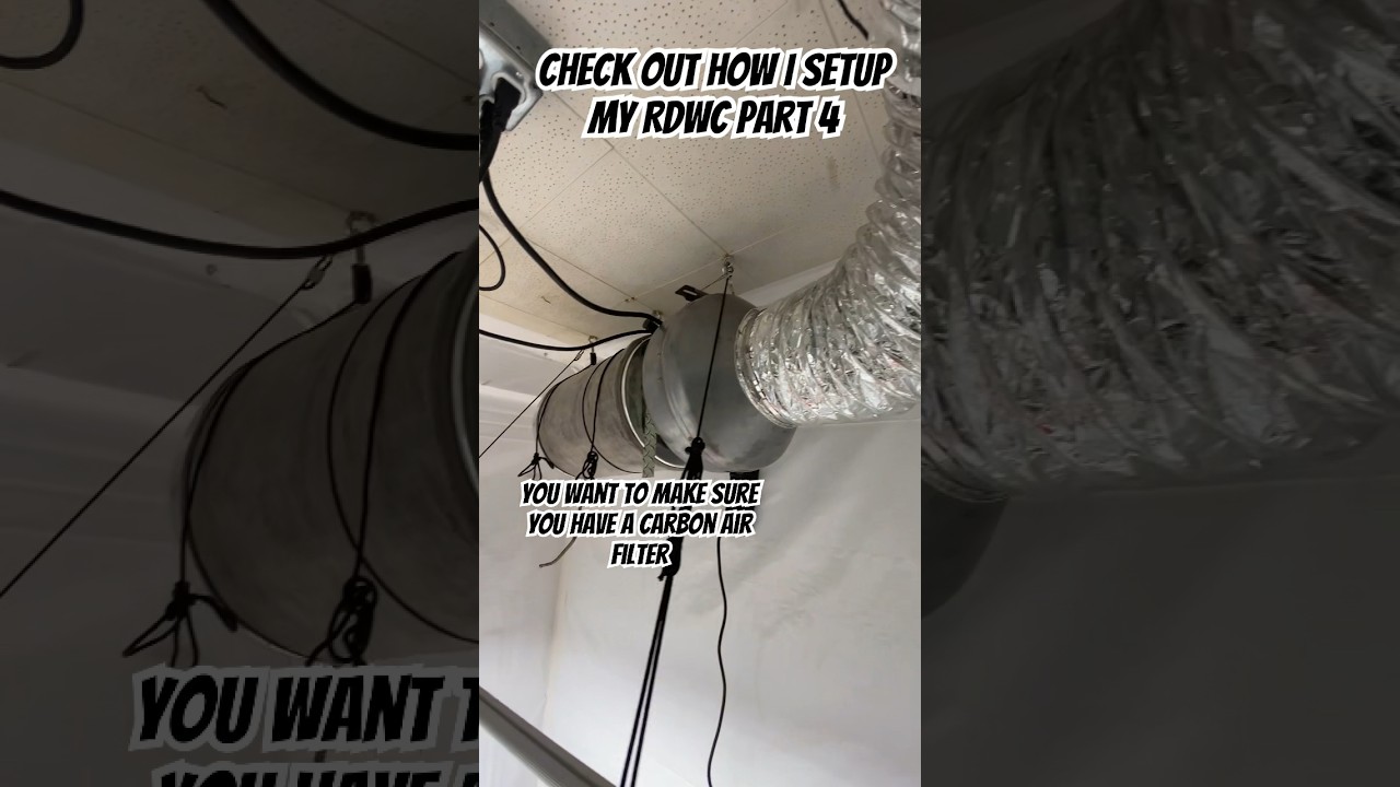 How To Setup RDWC System Part 4