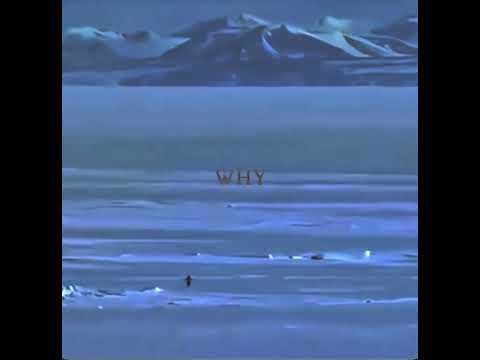 Viral Penguin TikTok Song L’Amour Toujours Gigi D’Agostino Organ version Speed Up