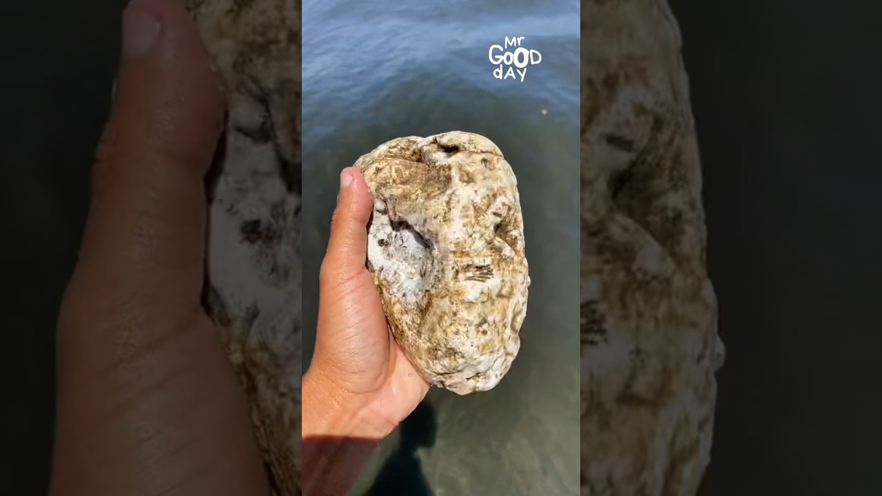 The Scented Gold of the Ocean #shorts