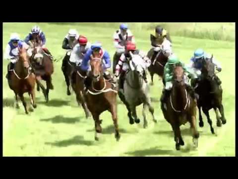 2017.06.25 Dansk Breeders Cup - Suspicious Mind