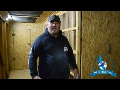 INTERVIU CU DL. ROMANESCU LIVIU .