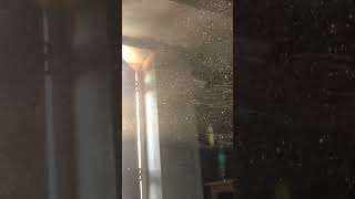 Dust particles in sun light