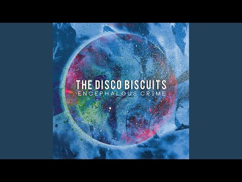 Stone - The Disco Biscuits