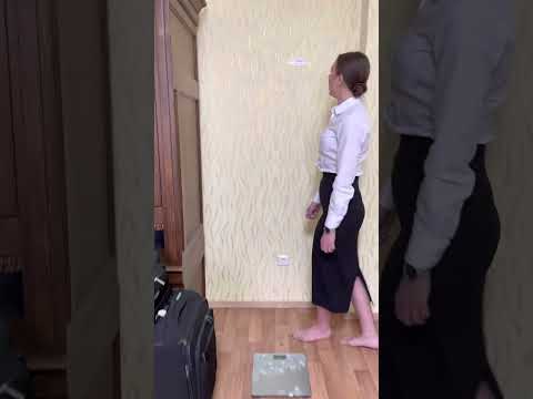 CV flight attendant ✈️