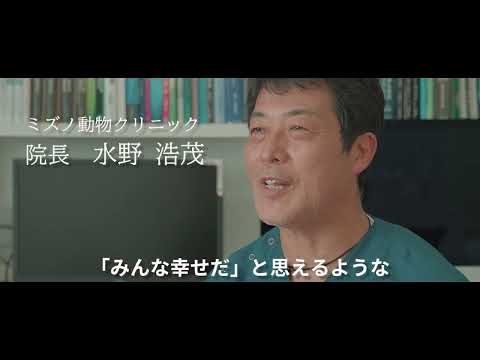 ミズノ動物クリニック