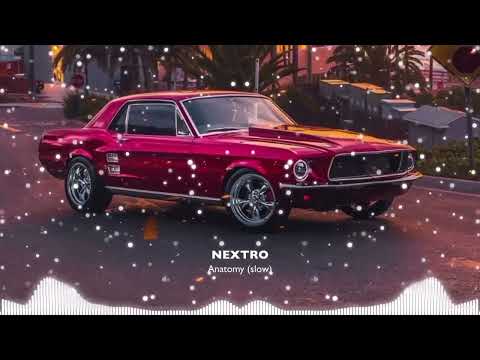 NextRo - Anatomy ( Slowed & Reward )
