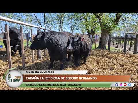 Resumen del remate 120° Aniversario de Cabaña La Reforma - Sáb. 7 de octubre de 2023 - Ayacucho