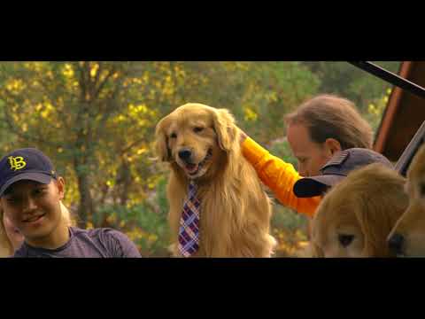 The Mayor (Documentary)