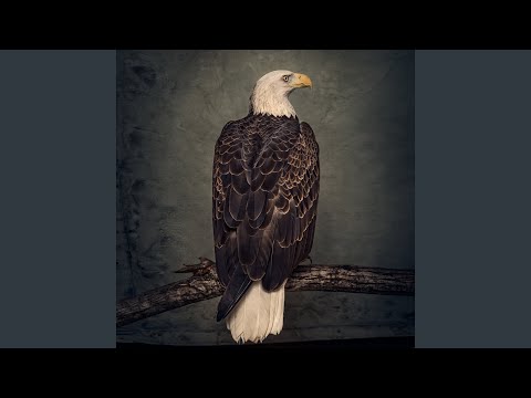 Videoclip de Weird Times — Clutch